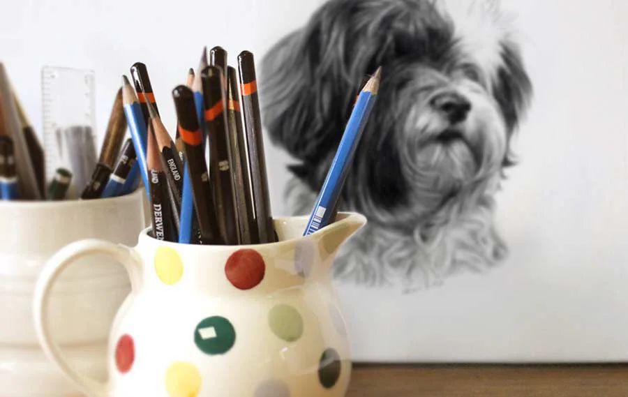 My Trusted Pencils (Derwent, Faber-Castell, Mars Lumograph) and a Finished Portrait A selection of professional drawing pencils, including Derwent, Faber-Castell, and Mars Lumograph, arranged next to a partially visible finished pet portrait.