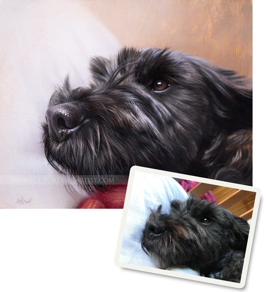 Pet Portraits Artwork Photo Comparison