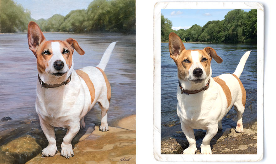 Pet Portraits Artwork Photo Comparison