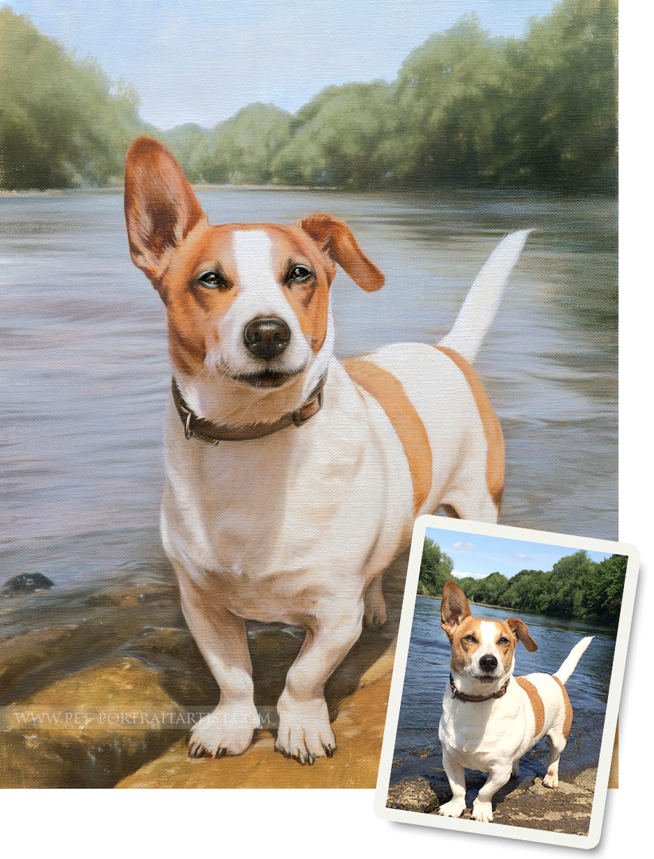 Pet Portraits Artwork Photo Comparison