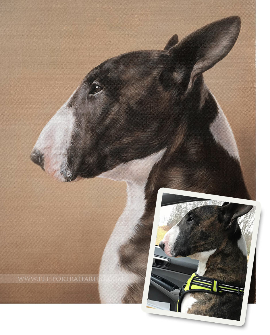 Pet Portraits Artwork Photo Comparison