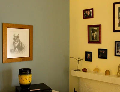 Nick's Cat Portrait Testimonial A framed pet portrait, perfectly capturing the likeness of the cat and admired for its beautiful framing.