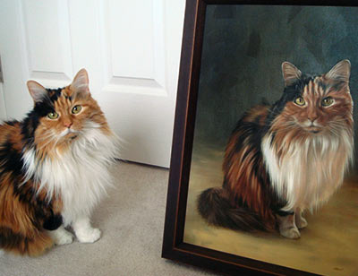 Cat Portraits Testimonials