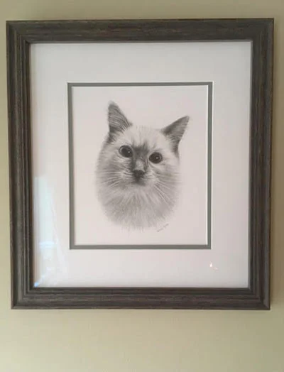 Claire's Emotional Testimonial for Padstow's Drawing Client Claire expressing emotional joy over her new drawing of Padstow, commissioned after his passing, with the artist's own cat Lily 'watching'.