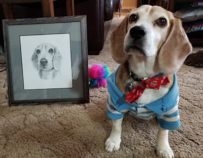 Dog Portraits Testimonials