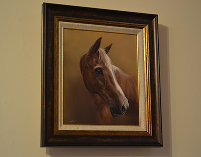 Horse Portraits Testimonials