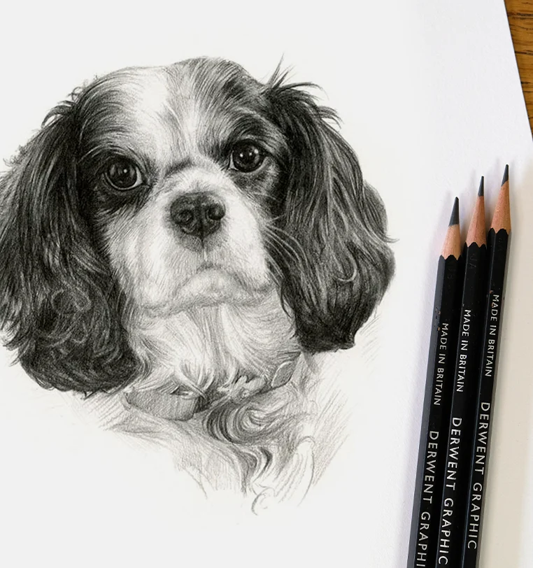 8x6 inch pencil portrait gift of Issota the dog, hand-drawn by Melanie Phillips