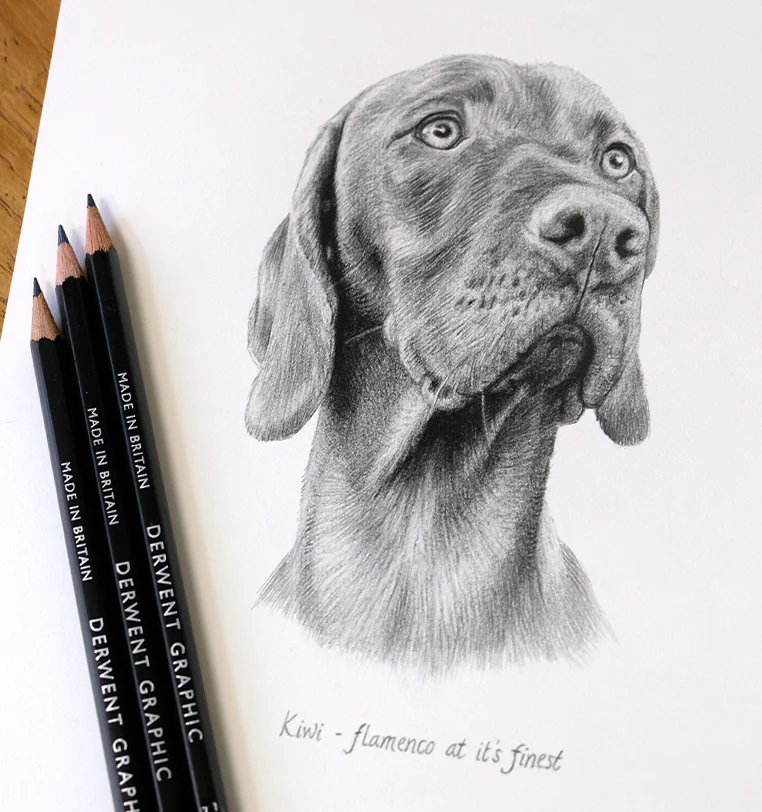 Small 8x6 inch pet portrait gift with elegant presentation